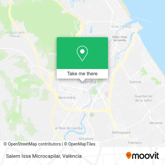 Salem Issa Microcapilar map