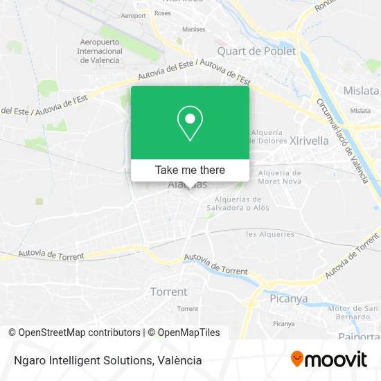 Ngaro Intelligent Solutions map