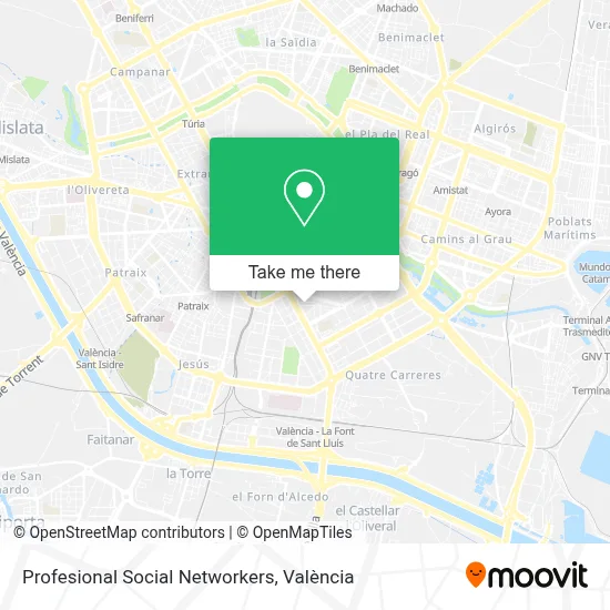 Profesional Social Networkers map