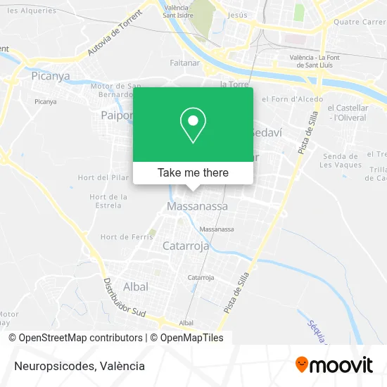 Neuropsicodes map