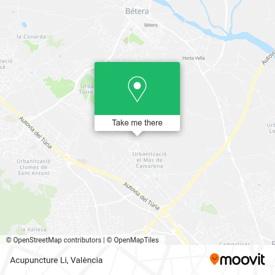 Acupuncture Li map