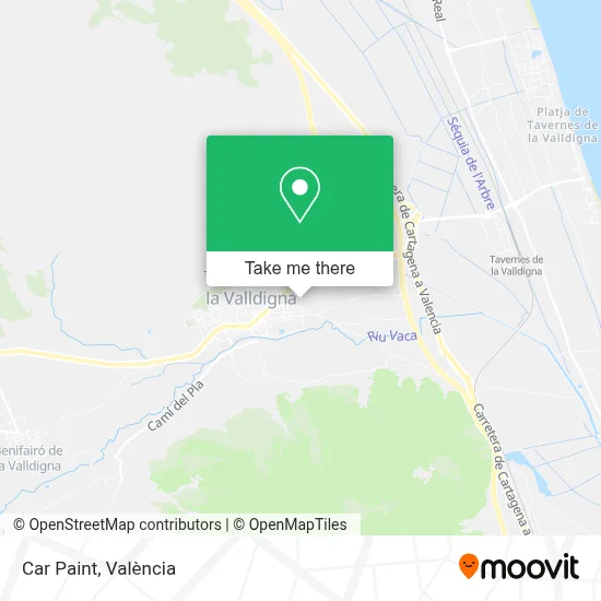 Car Paint map