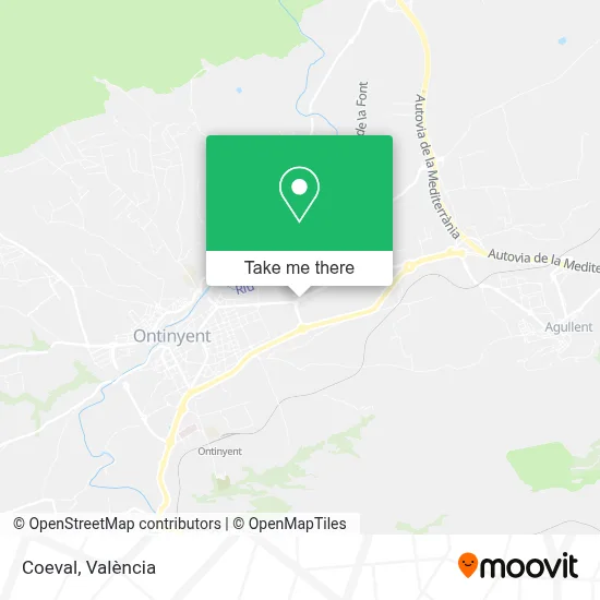 Coeval map