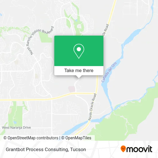 Grantbot Process Consulting map