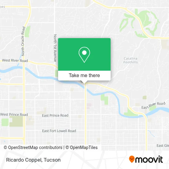 Ricardo Coppel map