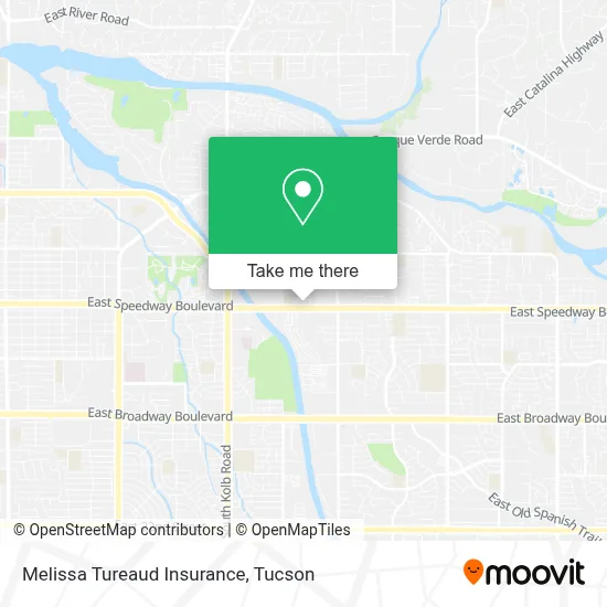 Melissa Tureaud Insurance map