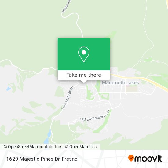 Mapa de 1629 Majestic Pines Dr