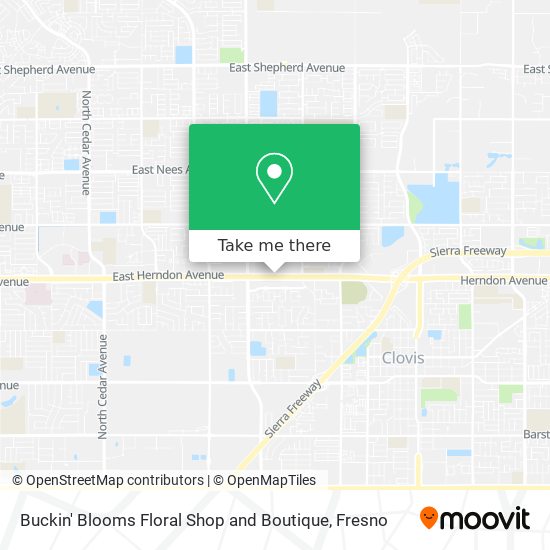 Mapa de Buckin' Blooms Floral Shop and Boutique