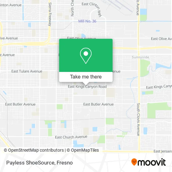 Payless ShoeSource map