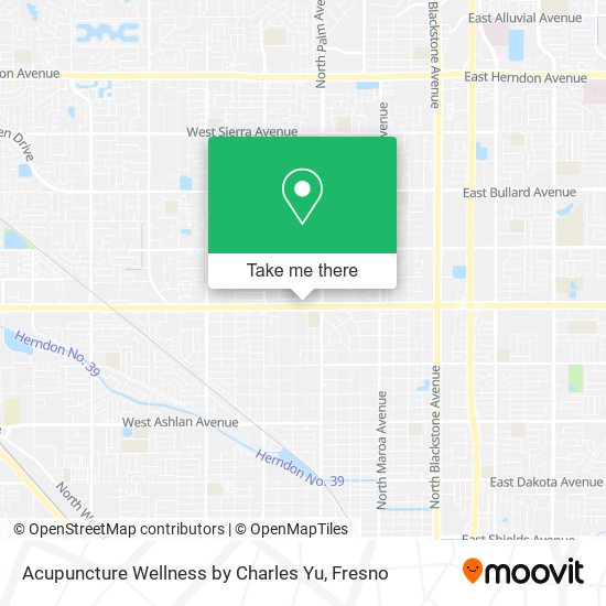 Mapa de Acupuncture Wellness by Charles Yu