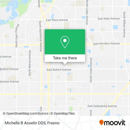 Michelle B Asselin DDS map