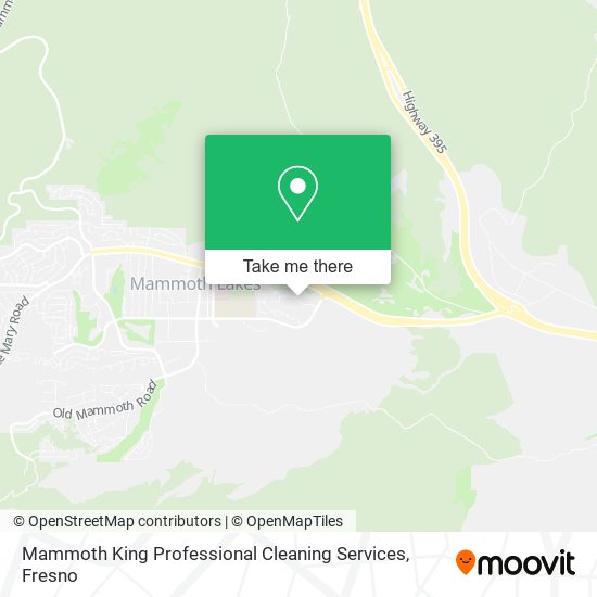 Mammoth King Professional Cleaning Services map