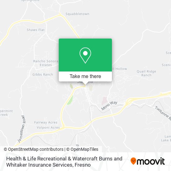 Health & Life Recreational & Watercraft Burns and Whitaker Insurance Services map