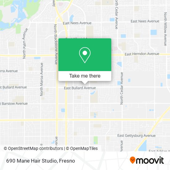 690 Mane Hair Studio map
