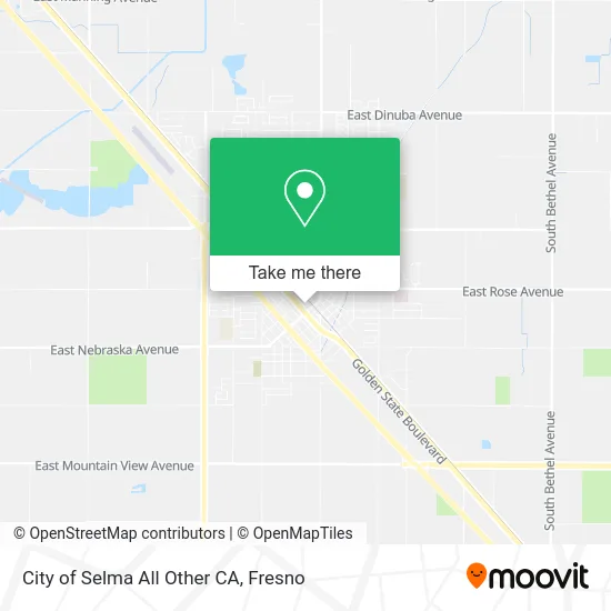 City of Selma All Other CA map