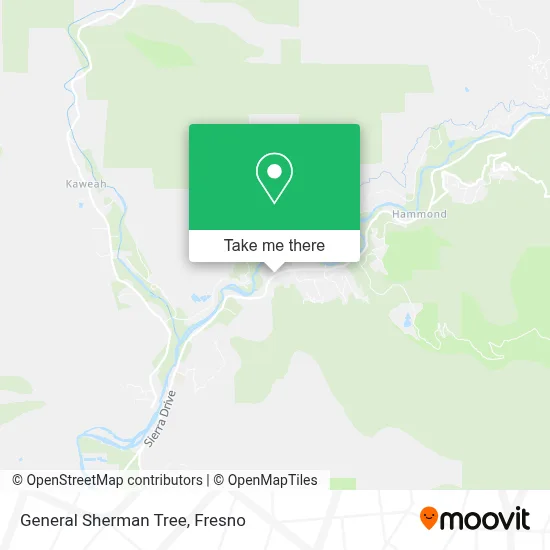 General Sherman Tree map