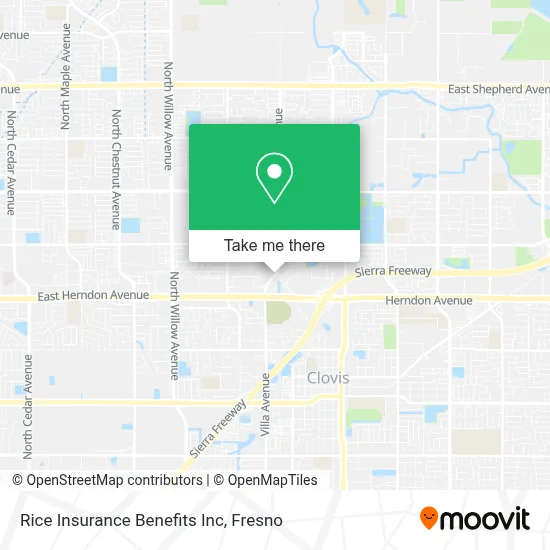 Rice Insurance Benefits Inc map