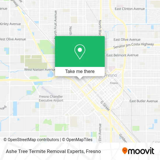 Ashe Tree Termite Removal Experts map