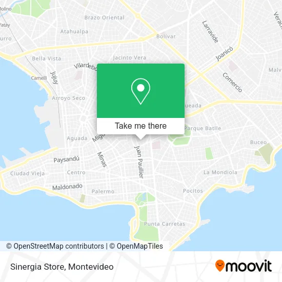 Mapa de Sinergia Store