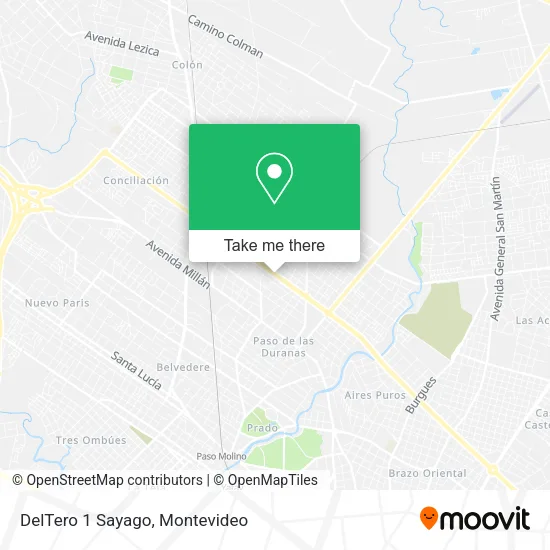 DelTero 1 Sayago map
