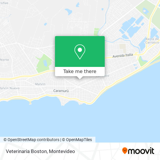 Veterinaria Boston map