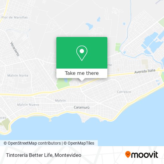 Tintorería Better Life map