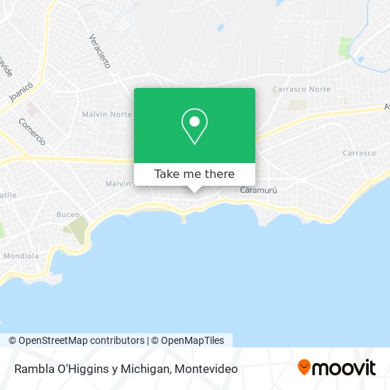 Rambla O'Higgins y Michigan map