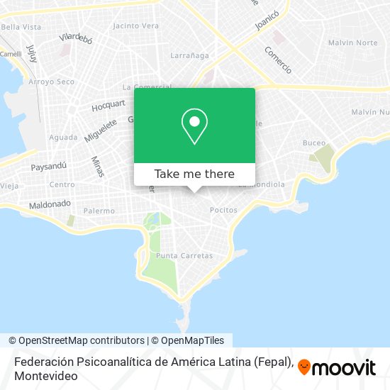 Federación Psicoanalítica de América Latina (Fepal) map