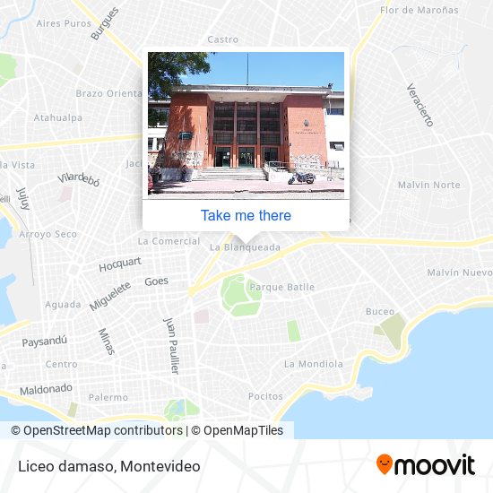 Liceo damaso map