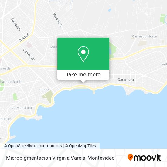 Micropigmentacion Virginia Varela map