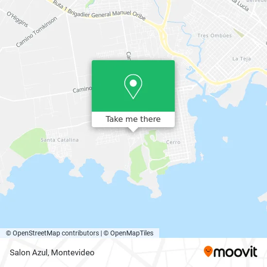 Salon Azul map