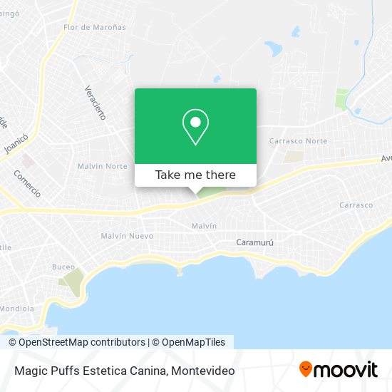 Mapa de Magic Puffs Estetica Canina