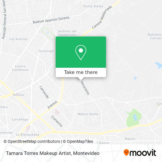 Tamara Torres Makeup Artist map