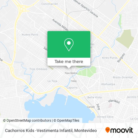 Cachorros Kids -Vestimenta Infantil map
