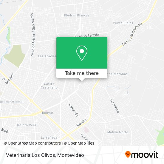 Veterinaria Los Olivos map