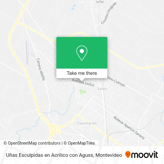 Mapa de Uñas Esculpidas en Acrilico con Aguss
