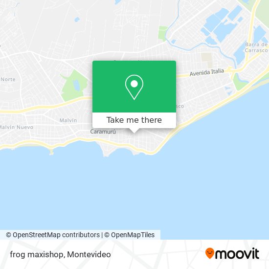 Mapa de frog maxishop