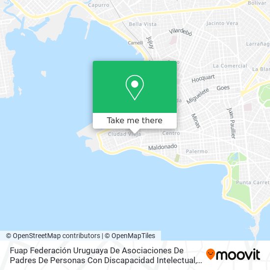 Fuap Federación Uruguaya De Asociaciones De Padres De Personas Con Discapacidad Intelectual map