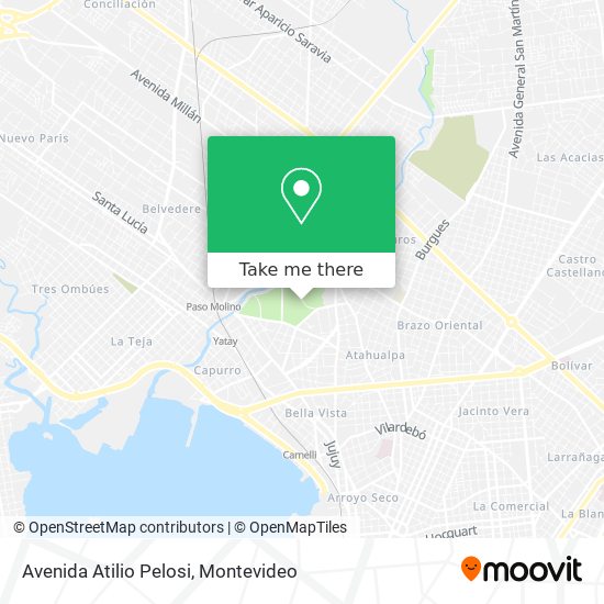 Avenida Atilio Pelosi map