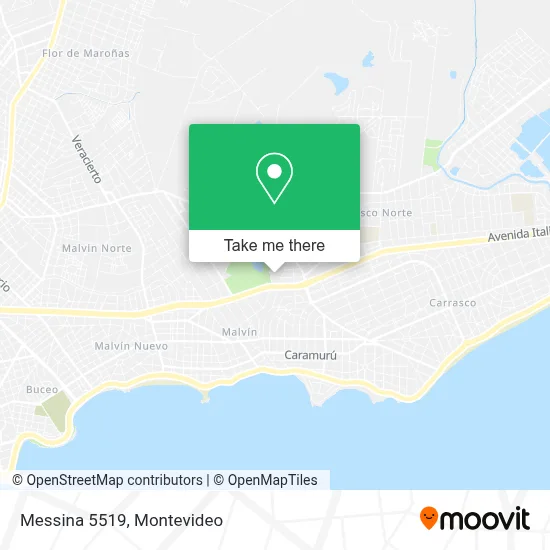 Messina 5519 map