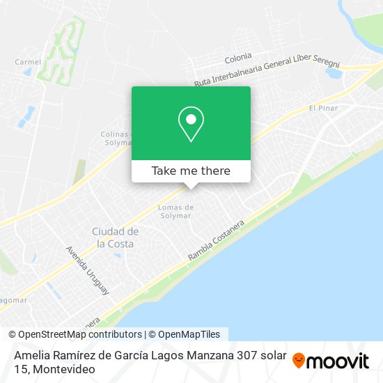 Amelia Ramírez de García Lagos Manzana 307 solar 15 map