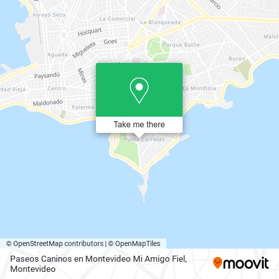 Paseos Caninos en Montevideo Mi Amigo Fiel map