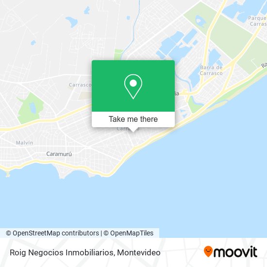 Roig Negocios Inmobiliarios map