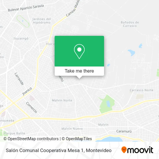 Mapa de Salón Comunal Cooperativa Mesa 1
