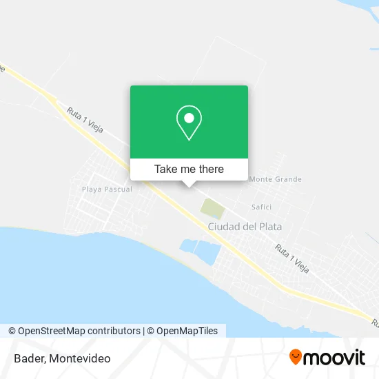 Bader map
