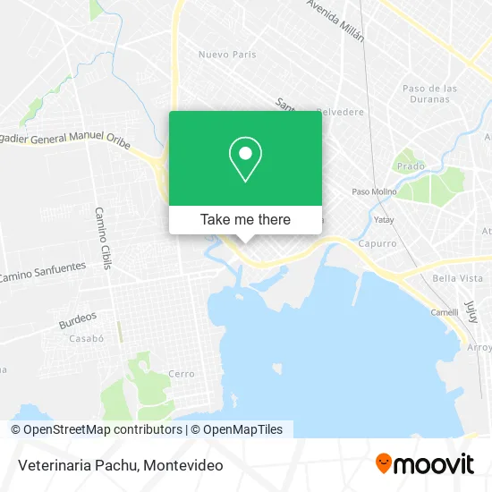 Veterinaria Pachu map