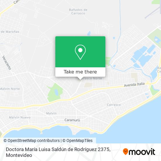 Doctora María Luisa Saldún de Rodríguez 2375 map