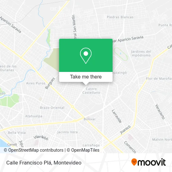 Mapa de Calle Francisco Plá