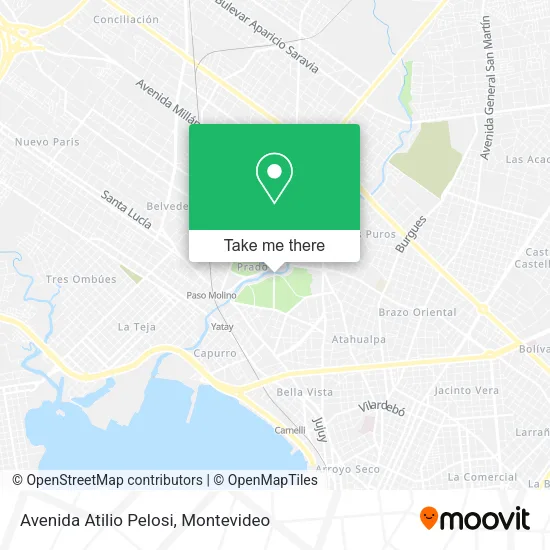 Mapa de Avenida Atilio Pelosi