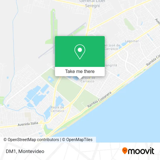DM1 map